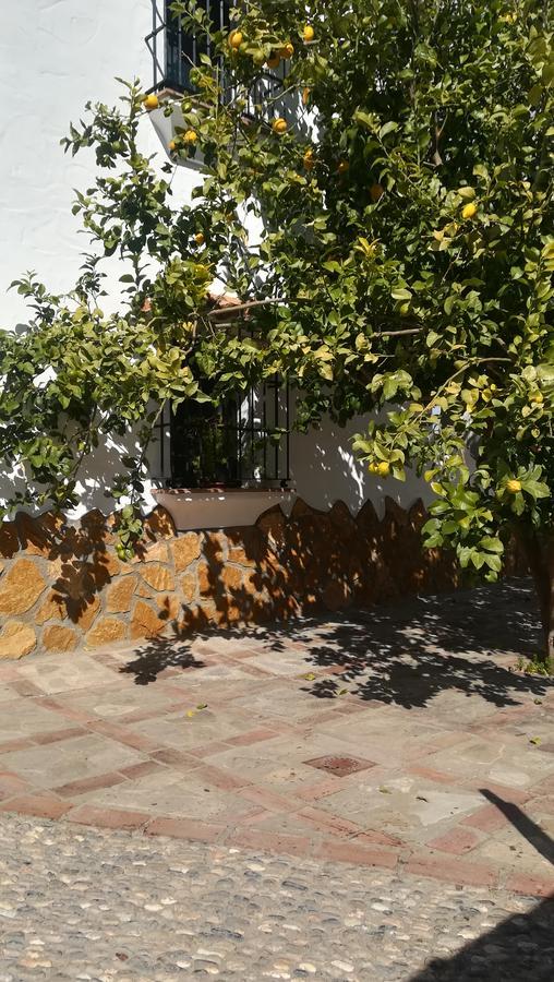 El Penon Villa ซาอารา เด ลาเซียร์รา ภายนอก รูปภาพ